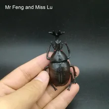 7,5 см Жук животное игрушка шутка игра украшение ребенок насекомое обучающая модель
