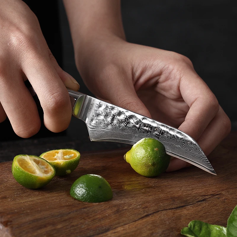  XINZUO Professional 3.5 inch Paring Knife 67 Layers VG10 Damascus Steel Kitchen Knives Fruit Knife  - 33001966816