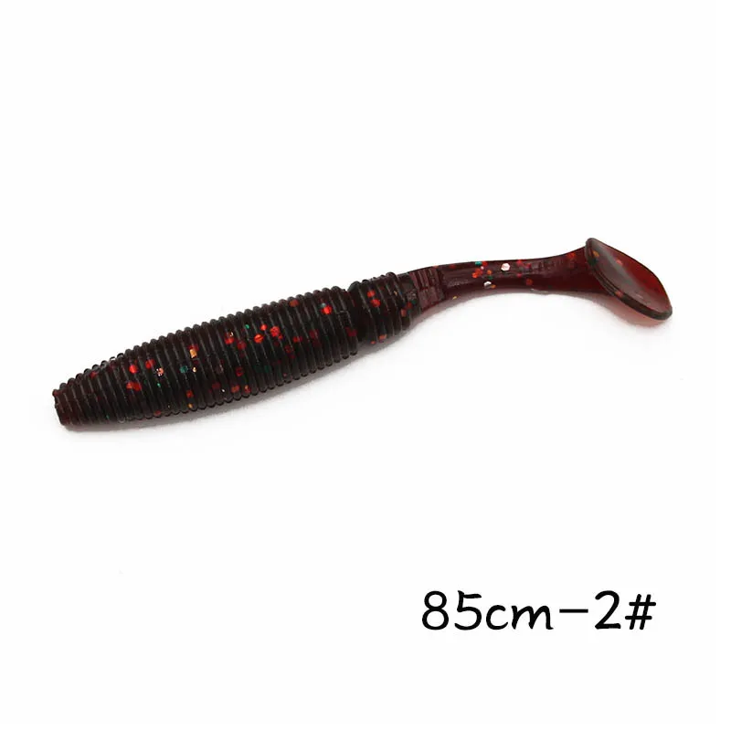 zt (12)