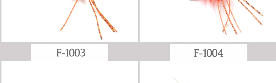 F1001-1004-4.2-_03