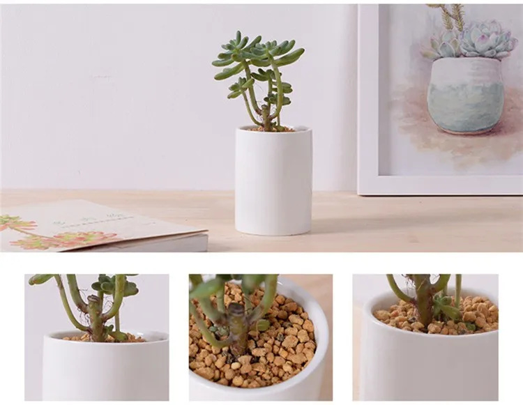 Cylinder shape Flower Pot5