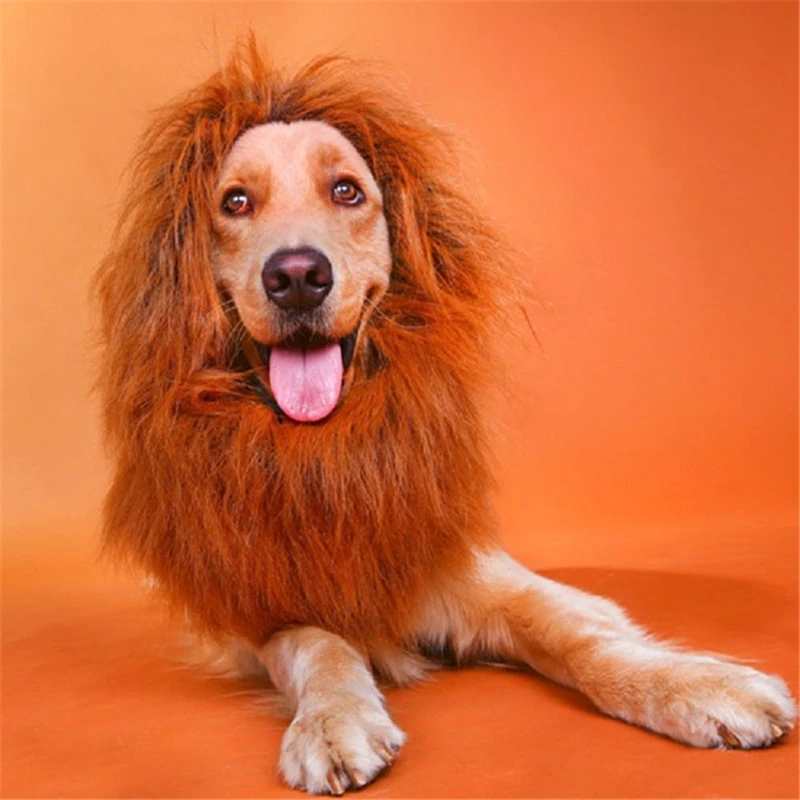 dog costumes