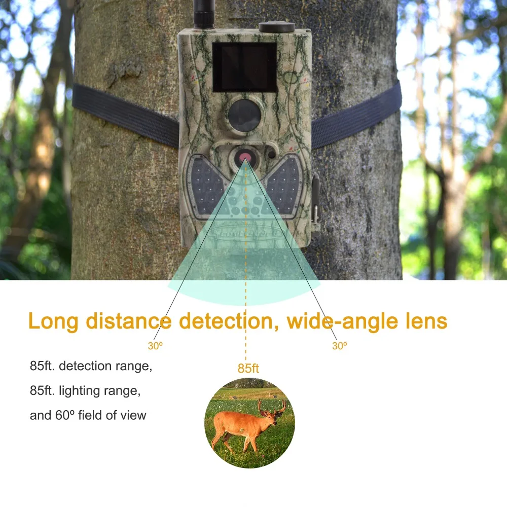 SG550-12mHD-24