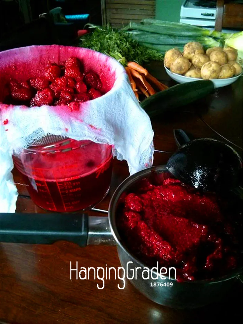 100 шт./упак. промо-акция! наследие Raspberry сад, без ГМО органические(экологически чистые бонсай фруктовое дерево завод