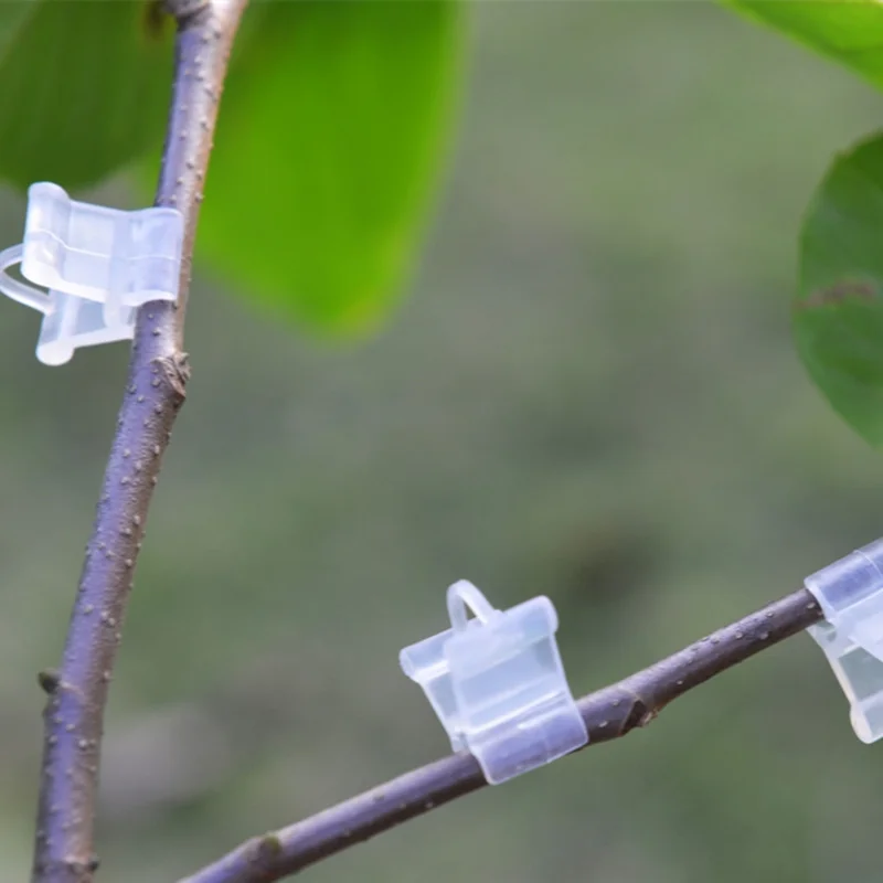 100pcs! Seedlings Grafted Branches Clip Flower Seedlings In Plastic Connecting Parts Arts Grafted Nursery Accessories 100pcs! Seedlings Grafted Branches Clip Flower Seedlings In Plastic Connecting Parts Arts Grafted Nursery Accessories