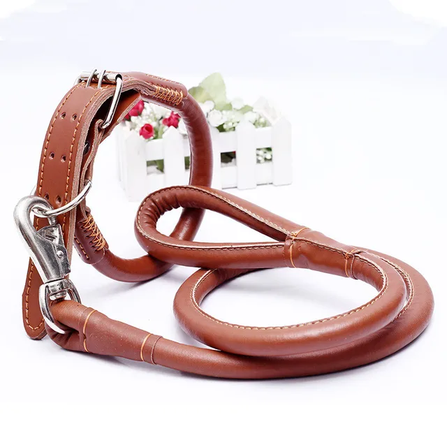 New Pu Leather Dog Collar Strong Bite Prevention Necklace with Traction Rope for Small and Medium Dog Pet Collar Accessories