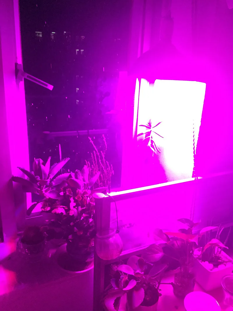 Мощный 800 светодиодный светильник для выращивания растений, лампа для выращивания цветов, для помещений, для теплицы, для выращивания растений, светодиодный Гидропоника