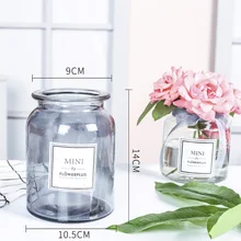 Модный прозрачный домашний сад из прозрачного стекла, подставка для цветов, подвесная ваза для растений, контейнер для террариума, Декор для дома и офиса