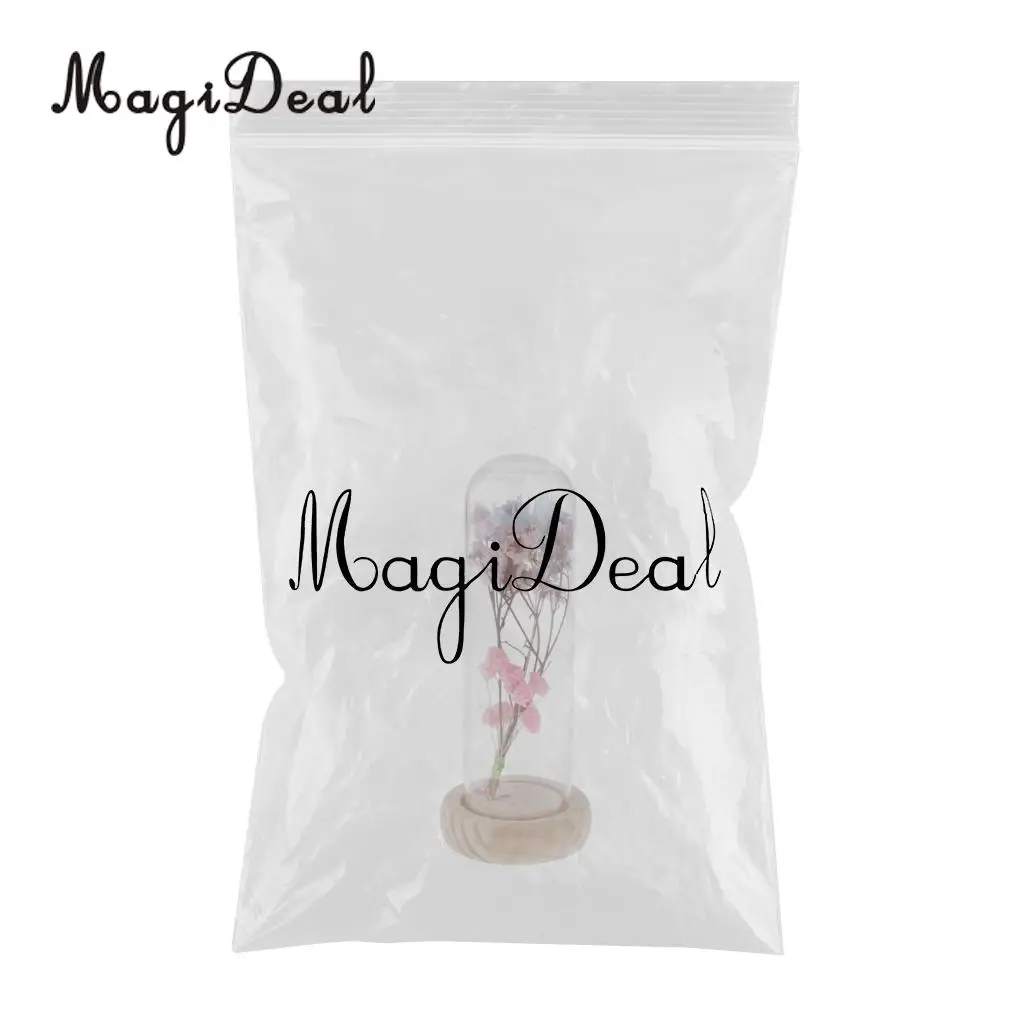 Clear Glass Display Cloche Bell Jar Dried Immortal Flower Preservation Vase Wooden Base Cafe Bar Countertop Decor Ornament