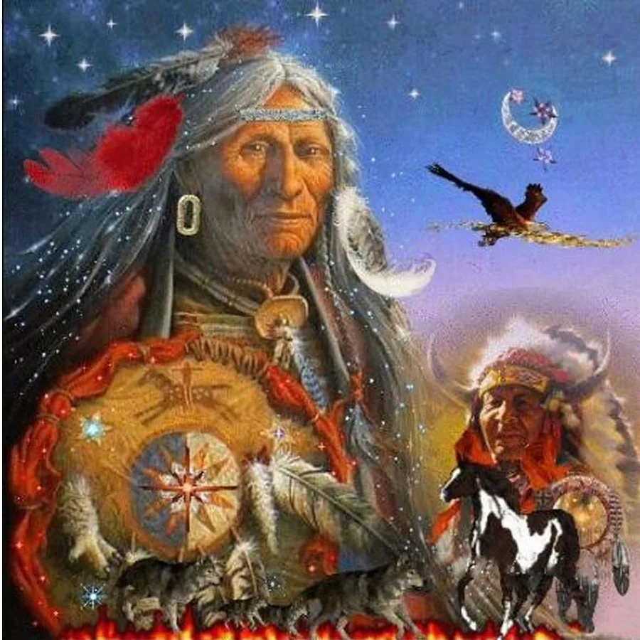 

5D DIY Diamond Painting Embroidery Indian Woman wolf Cross Stitch Mosaic Rhinestones American Natives man decoration painting