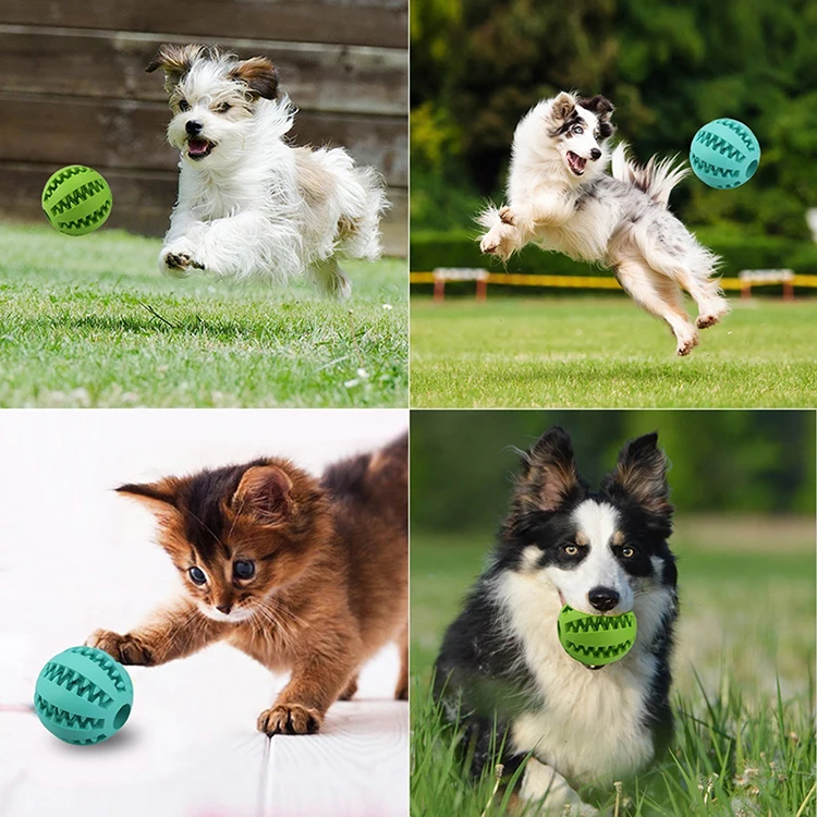 jouet drôle brosse à dents pour chien