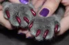 New Fashion colour Cat  Nail Caps soft cat  Claw  Soft Paws100PCS/lot with free Adhesive Glue Size XS S M LGift for pet 3