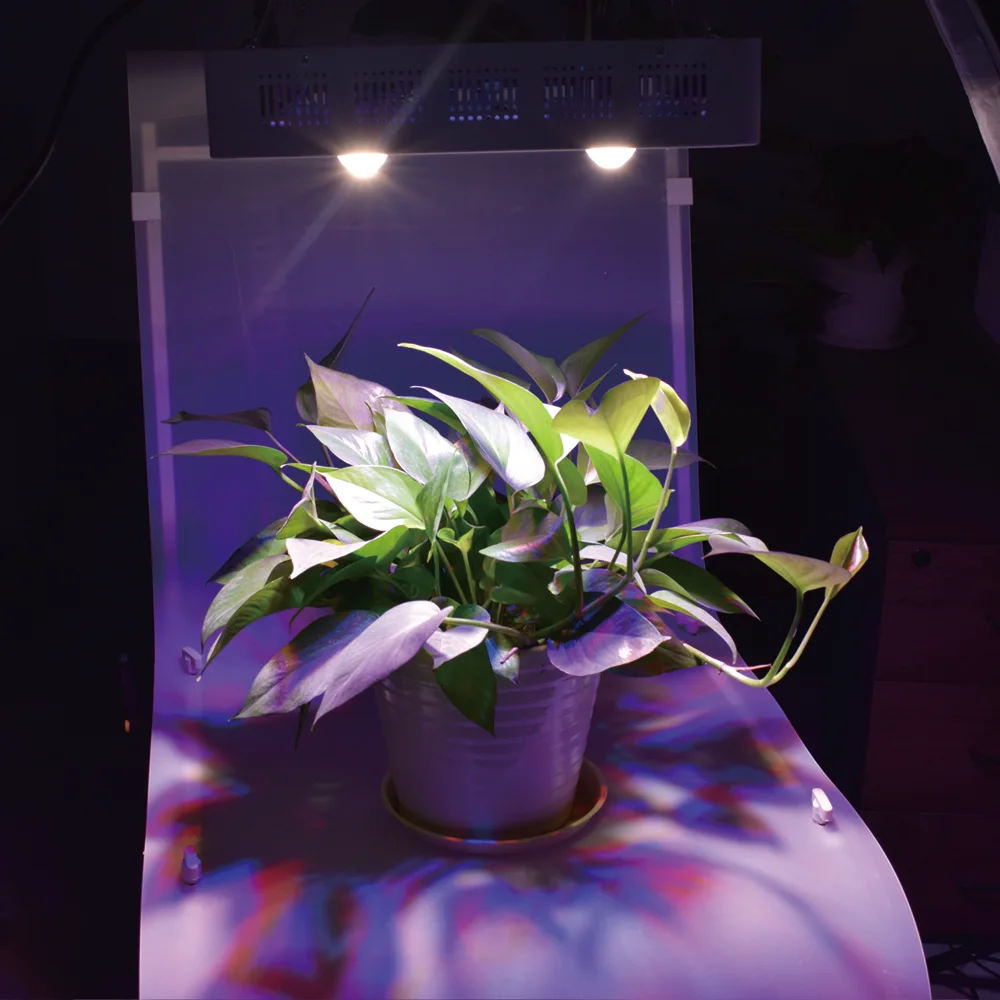 Plant grow light (10)