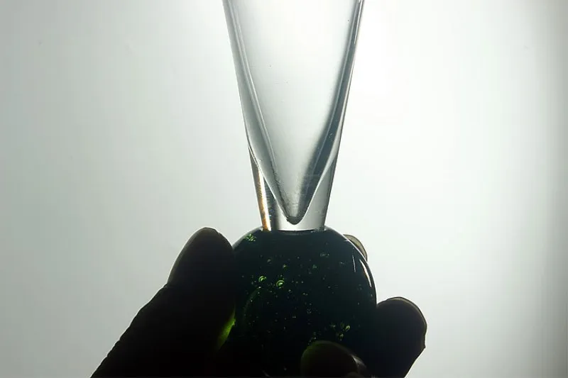 4437840742_1109865001