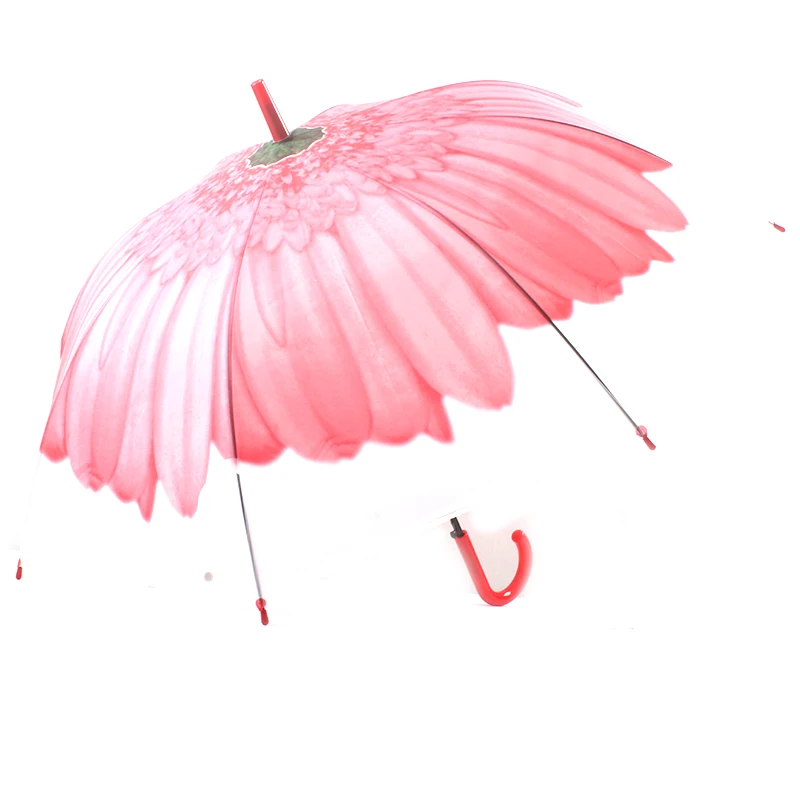 SAFEBET прозрачный зонтик кленовые зонтики с листьями Сакура креативный зонтик мультяшный Кот Зонты Милая птичья клетка Прямая поставка