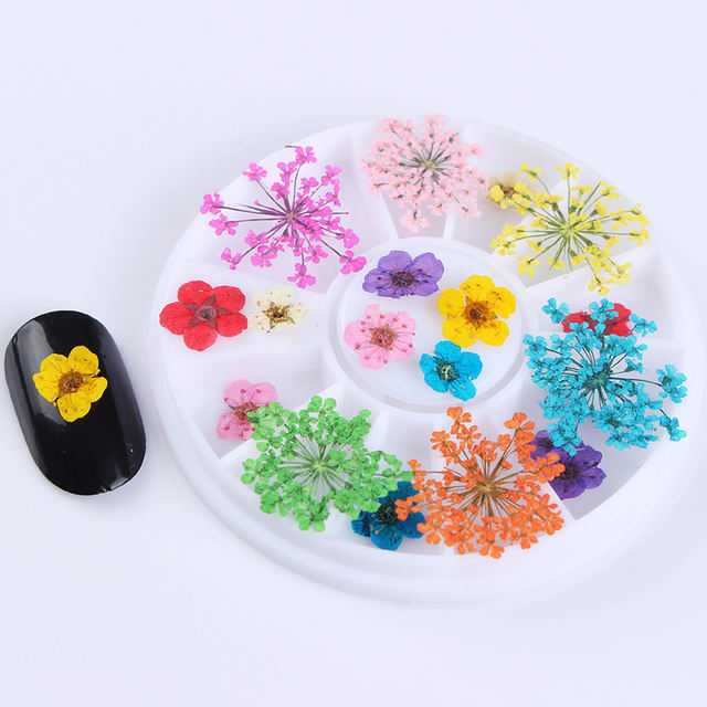 1 Box 3D Nail Art Decoration Mixed Dried Flower Preserved Flower Dry 3D Flower Tips Manicure DIY Nail Decoration in Wheel
