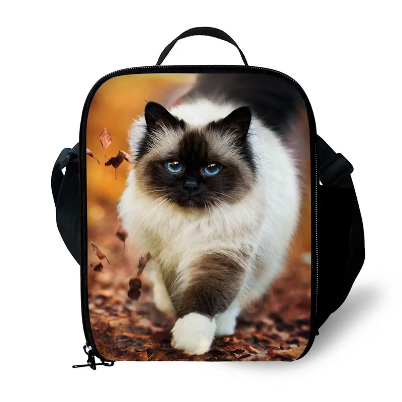 Bolsas p almoço