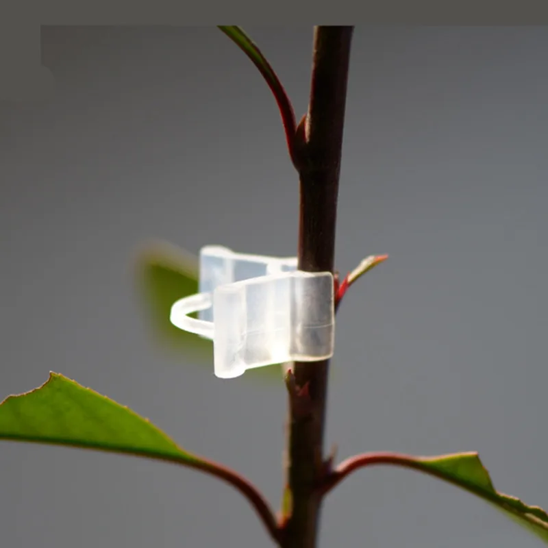 100pcs! Seedlings Grafted Branches Clip Flower Seedlings In Plastic Connecting Parts Arts Grafted Nursery Accessories 100pcs! Seedlings Grafted Branches Clip Flower Seedlings In Plastic Connecting Parts Arts Grafted Nursery Accessories