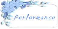 Performance
