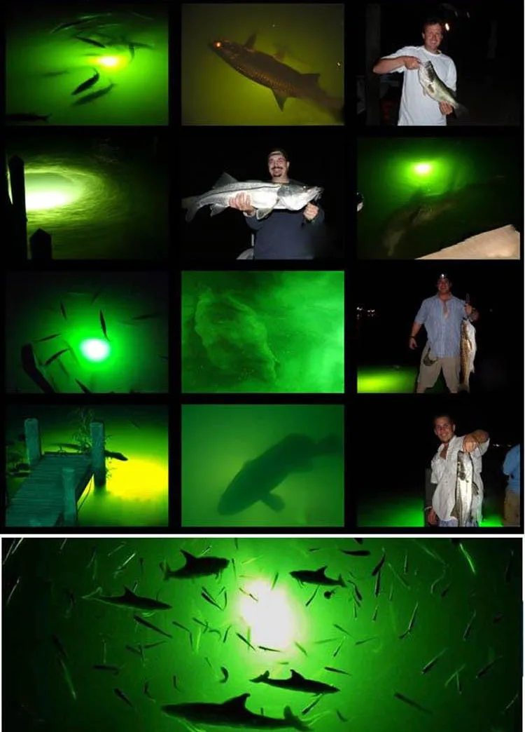 Barco de Pesca do Mar Atrair os Peixes Luzes da Noite Cabo 200w Iluminação Subaquática Profundo Debaixo d' Água 5m Dc12v ou 24v 8 Cheap underwater led 12v