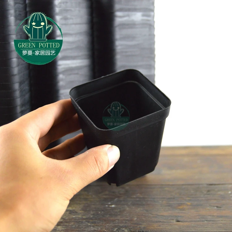 7 см Черные Квадратные горшочки для суккулентов питомник коробка (70)|black square pots|square