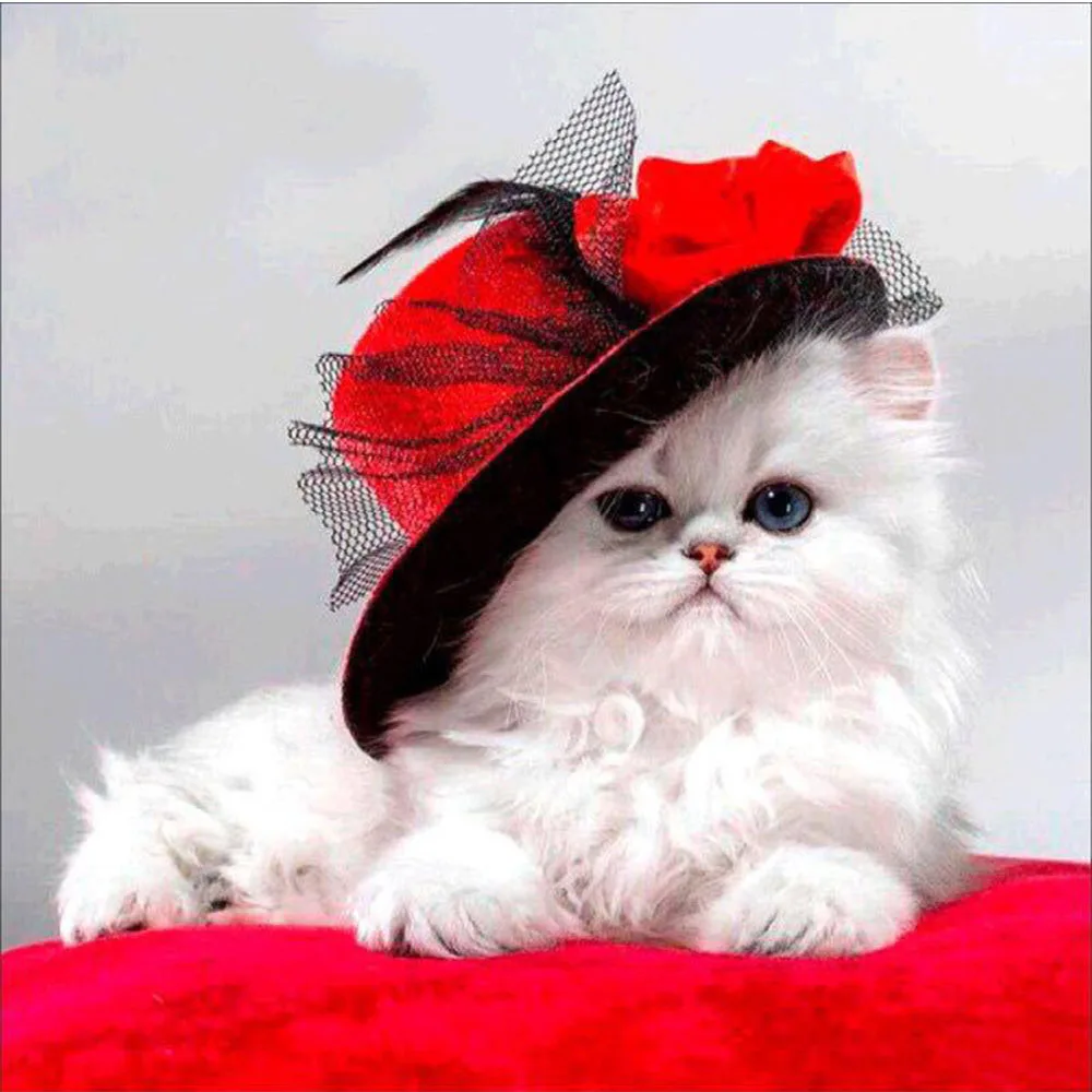 

Cat lady diy diamond painting Miss white cat mosaic making diamond painting full round White cat diamond embroidery