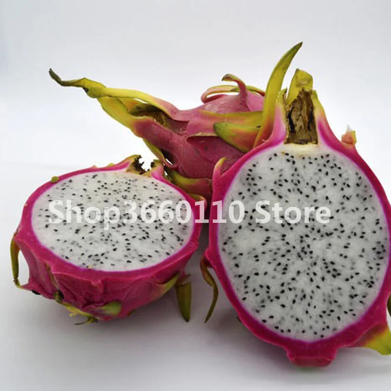 

New 2018!Sweet Pitaya Bonsai Piante Tree Plants Dragon Fruit garden Pitaya flores Non-gmo Hylocereus Fruit, 100 plantas/Pack
