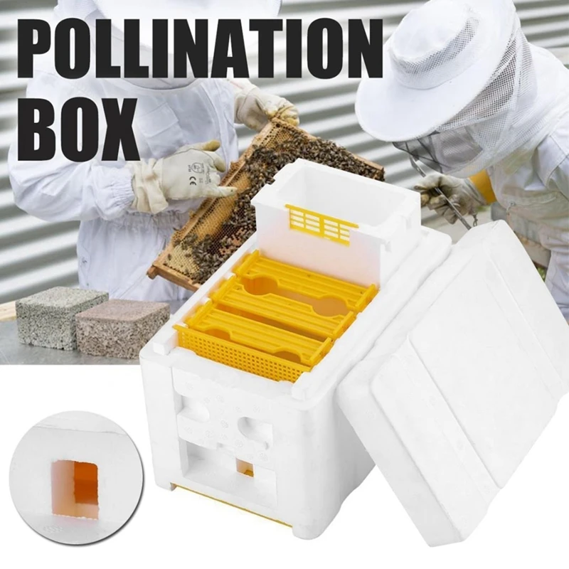 New Hive Box Harvest Bee Hive Beekeeping King Box Pollination Box Harvest Bee Hive Solid cedar Beekeeping Tool Z