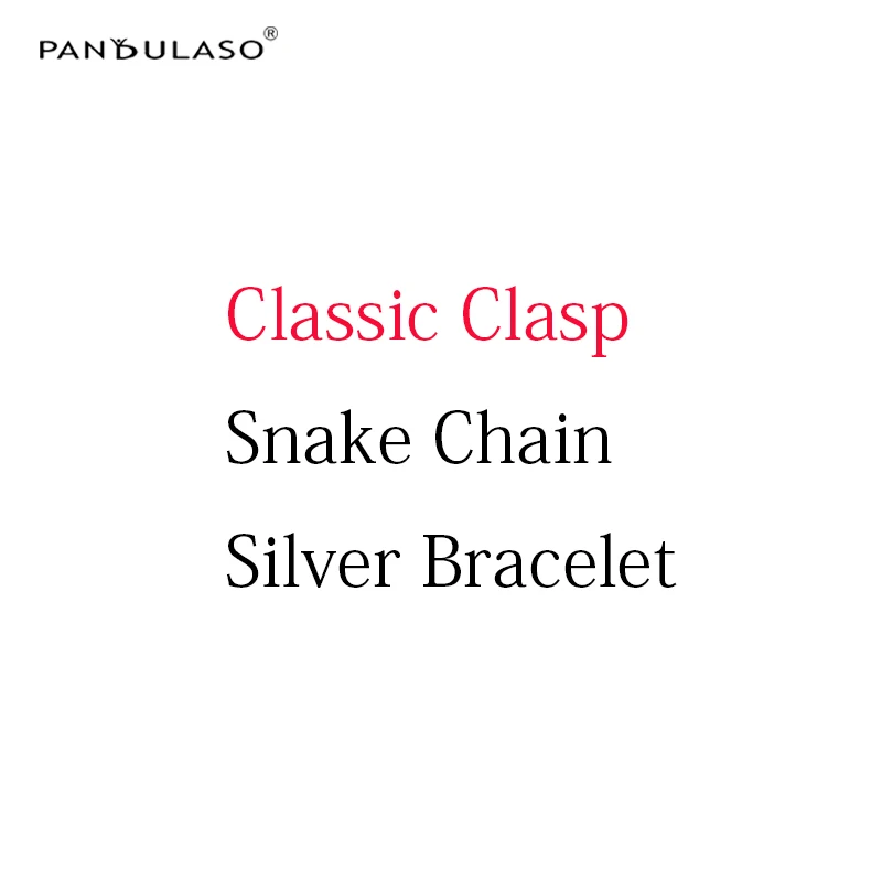

Pandulaso DIY Starter Silver Bracelets Original Silver 925 Charms Bracelets Snake Chain for Women Sterling Silver Jewelry