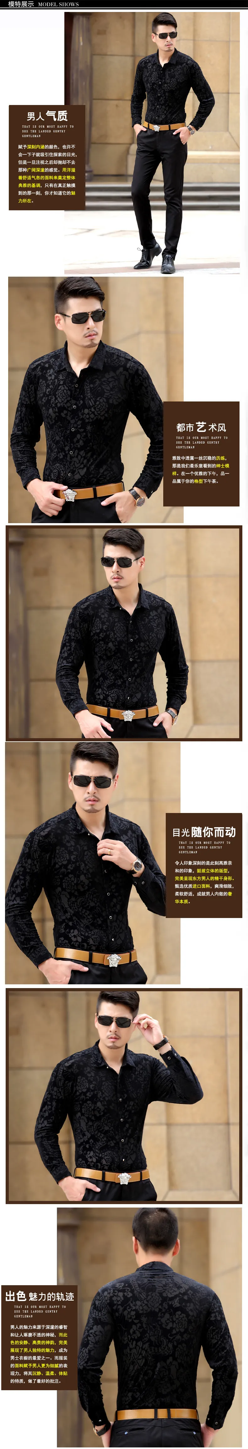 TB2Z3PkuXXXXXckXXXXXXXXXXXX_!!2600711929