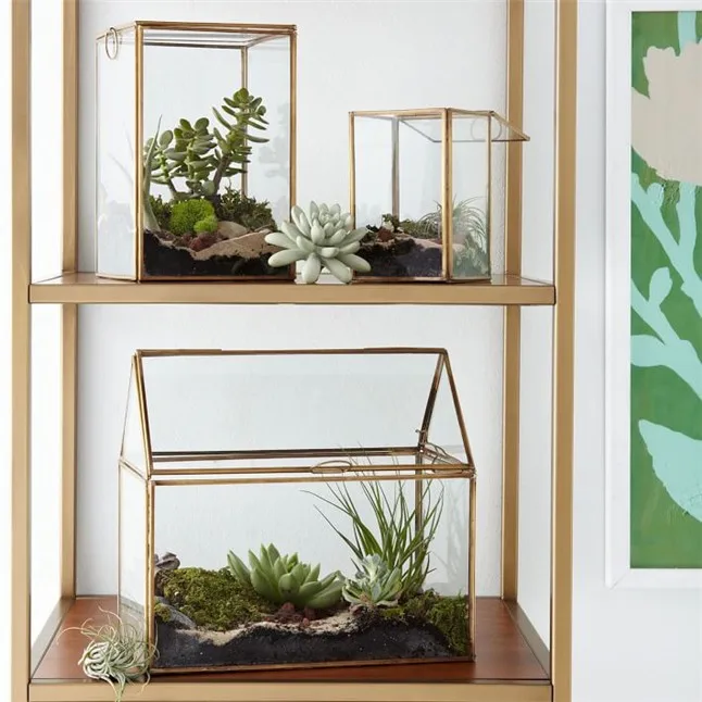Terrariums3