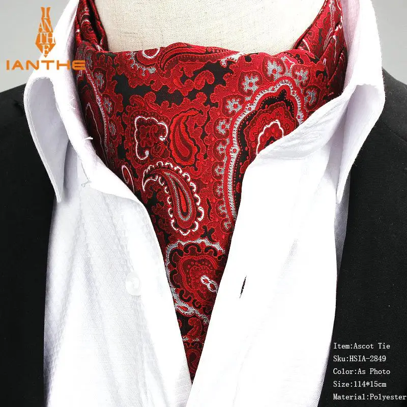 Мужской винтажный галстук с геометрическим узором пейсли для свадьбы, торжественный галстук Ascot, резинки для волос в британском стиле, мужской галстук из полиэстера и шелка, роскошный галстук - Цвет: IA2849