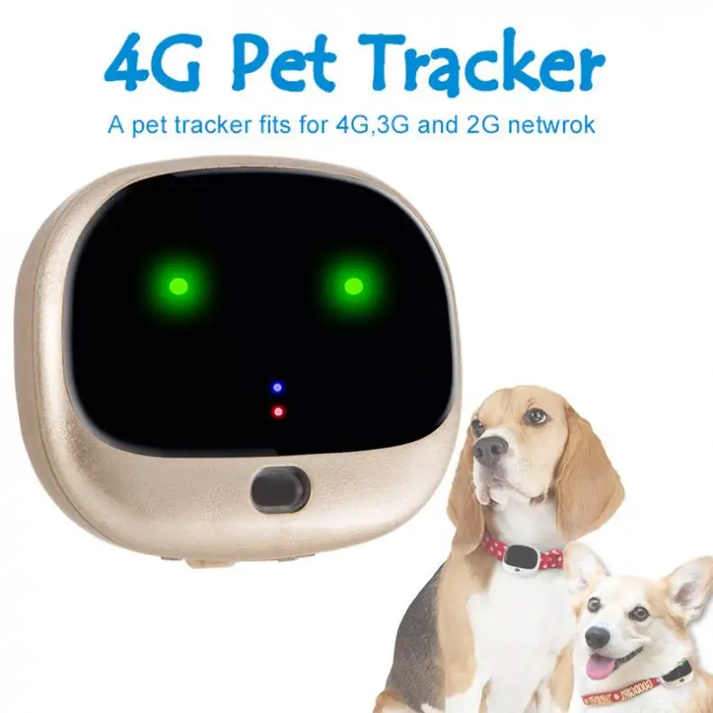  RF-V43 Mini 4G LTE + 3G WCDMA + 2G GSM GPS + WIFI Doppel Zaun Waterpoof IP67 haustier GPS Tracker E