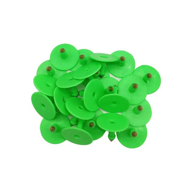 ding2