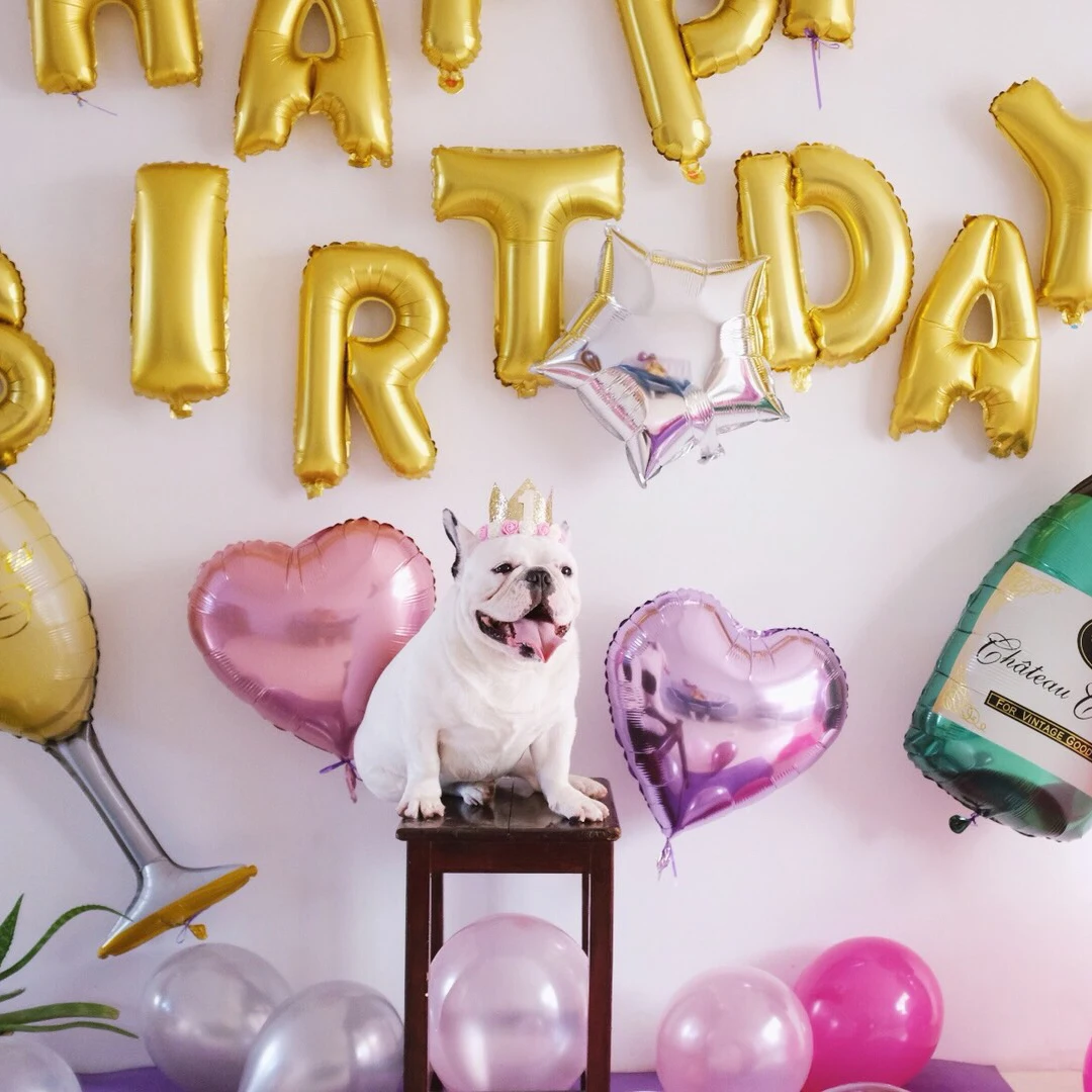 Праздничный баннер с надписью Woof Balloons ручной воздушный насос товары для домашних