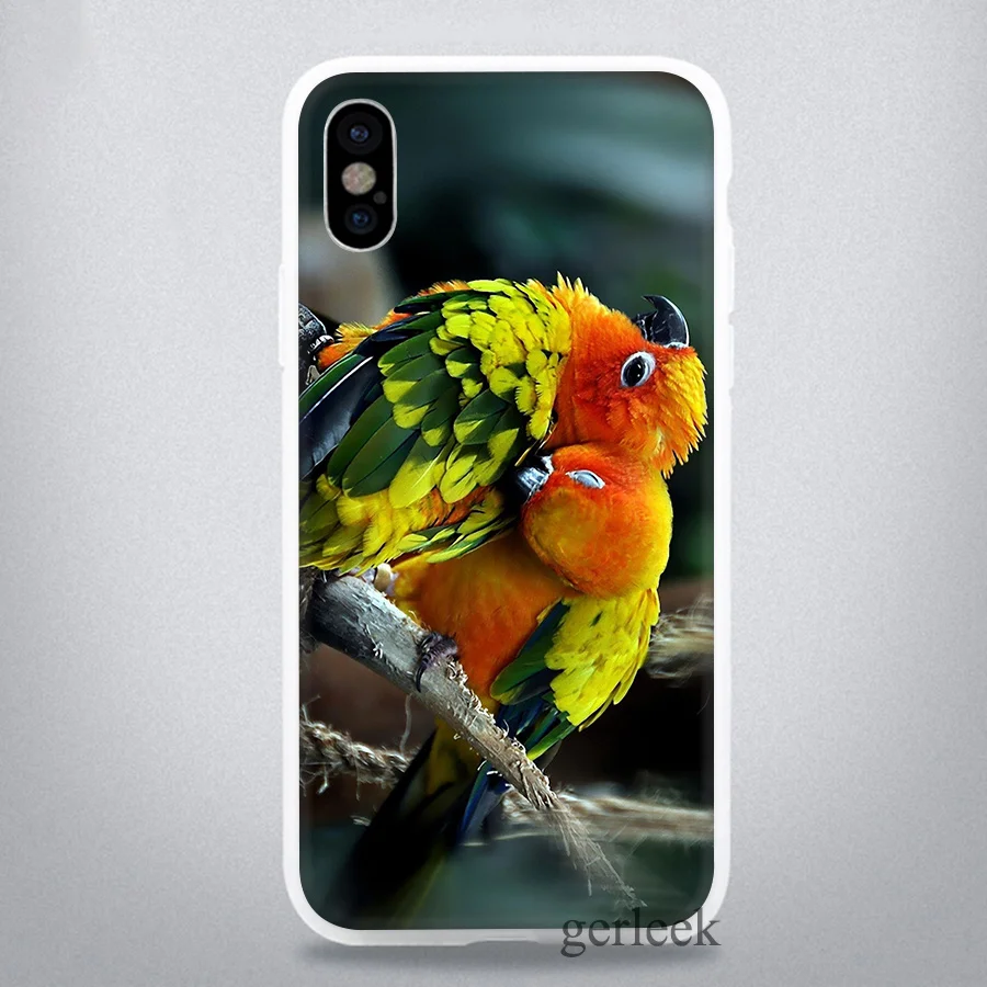 Чехол для телефона с изображением животных птиц попугаев iPhone 11 Pro 5 5S SE 6 6S 7 8 Plus X XR XS