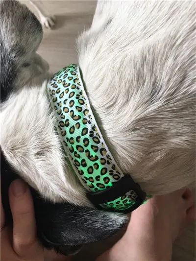 Светодиодный Pet Ошейник нейлон Collier залить Chien свет Leopard Ночной светодиодный Сияющий Регулируемый ошейники шеи для собак вырез горловины A03