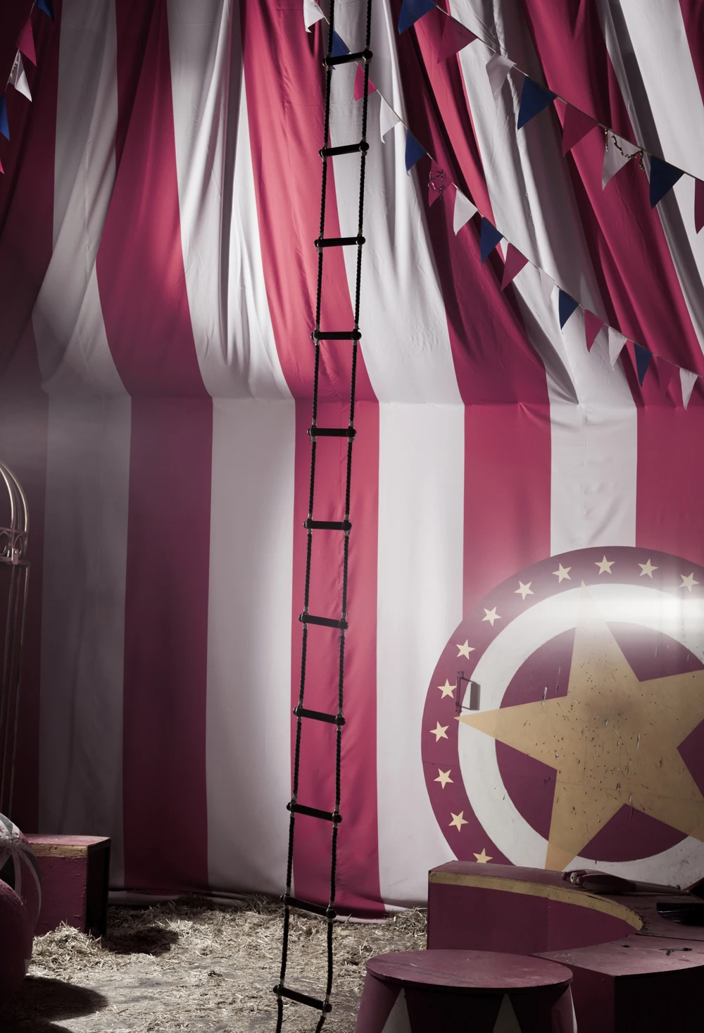 Circus Tent Shield Photography Backdrops Photo Background XT 6652-in Background from Consumer