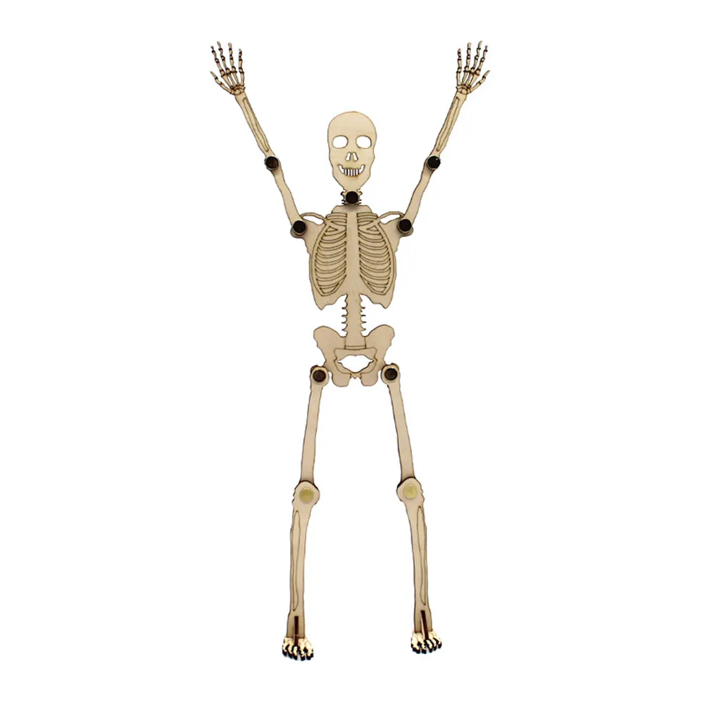 

High Quality Halloween Movable Joint Skeleton Skull Bones Set Prop Decor Horror Trick 14in funny Kids Toy Gift Z0311