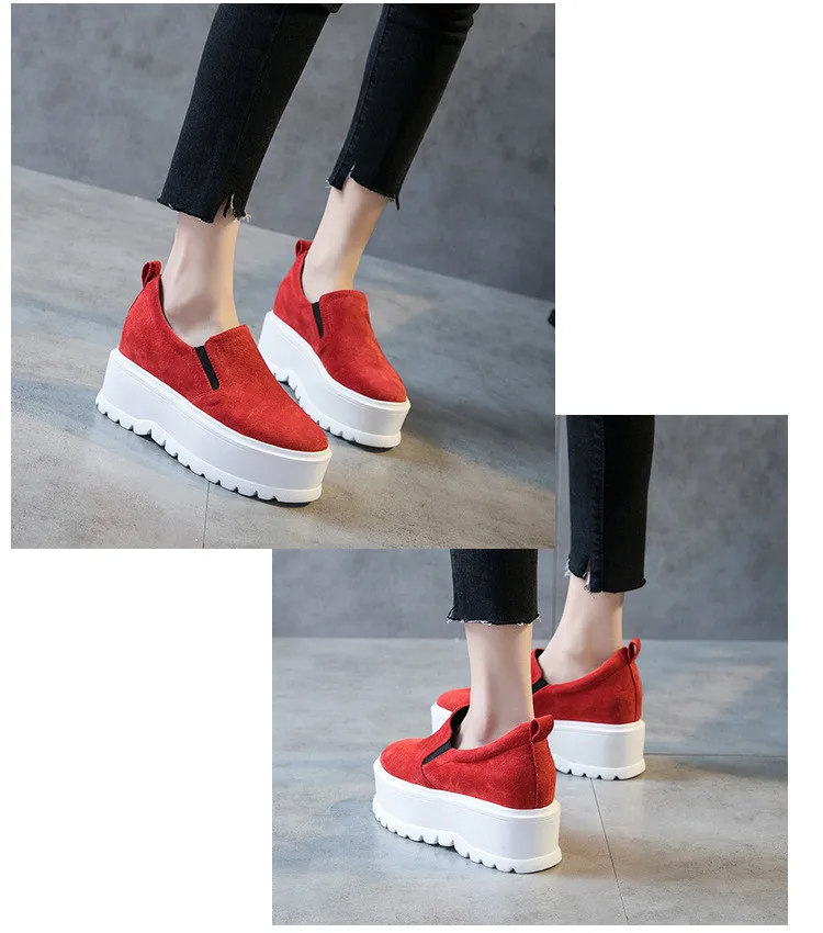 8015216533_2104939880_