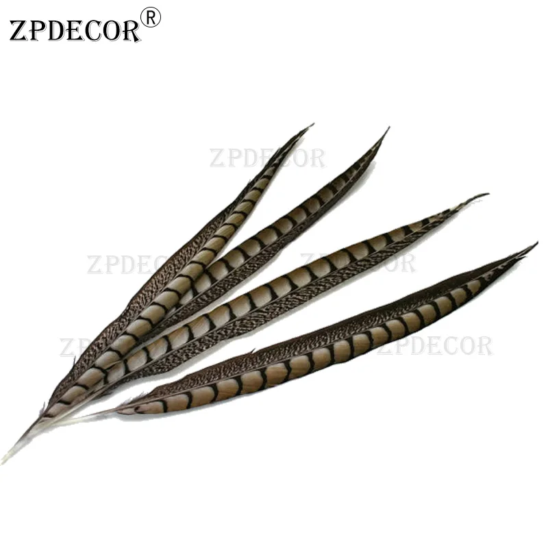 

Inch 12-14 30-35CM Lady Amherst Tail Pheasant Feather