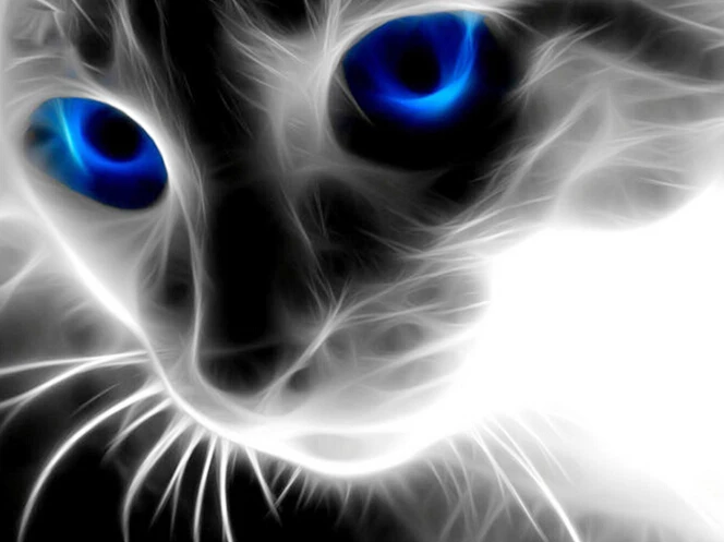 Art DIY 5D Diamond Mosaic Blue-eyed Cats Handmade Diamond Painting Cross Stitch Kits Diamond Embroidery Patterns Rhinestones 408