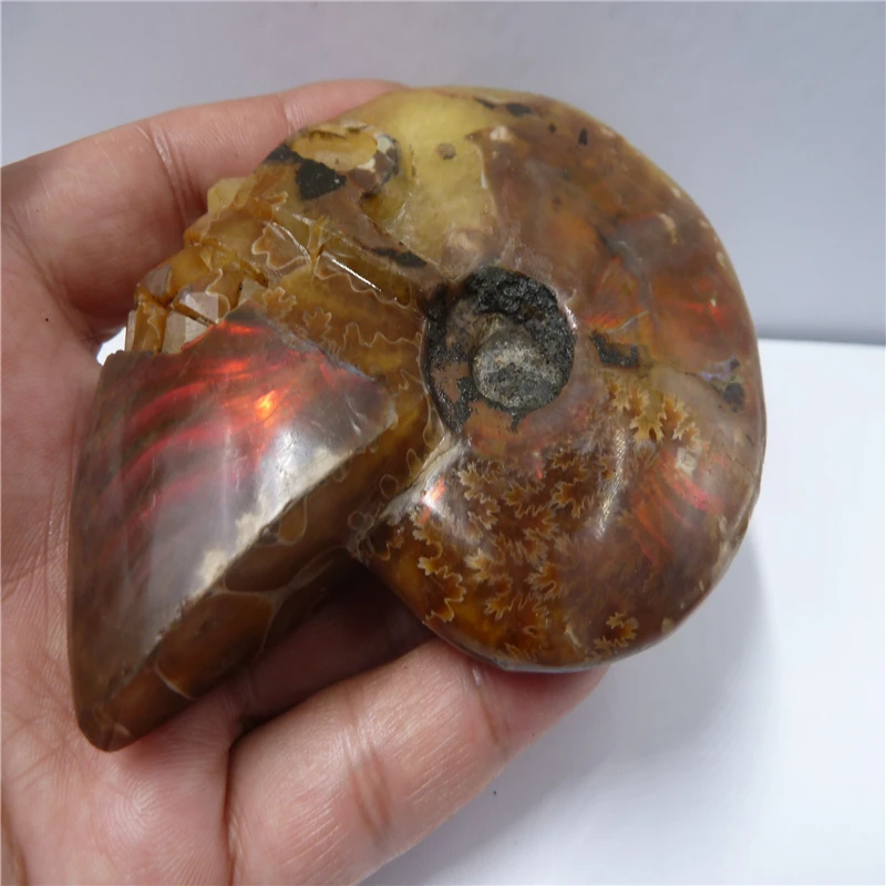P1420850