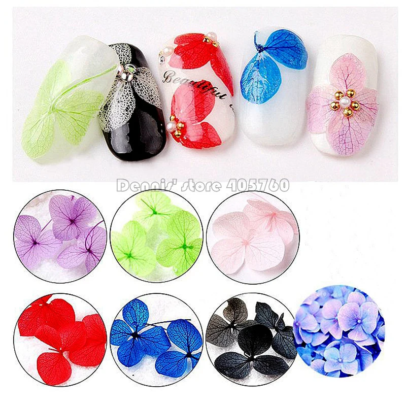 

Beauty 12 Colors Natural Dried Flowers Leaves Nail Art Rhinestones Slice Decorations DIY Salon Tips