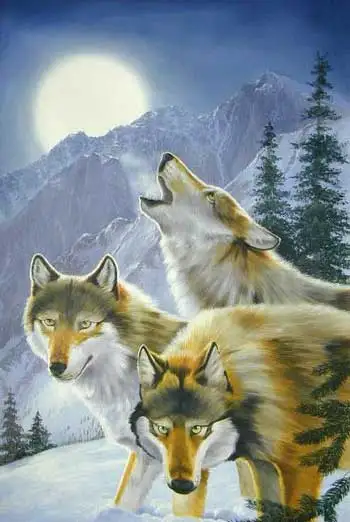 

Free shipping Handmade Animal oil painting On Canvas Modern wall art painting Decorative Wolf paintings for wall decor