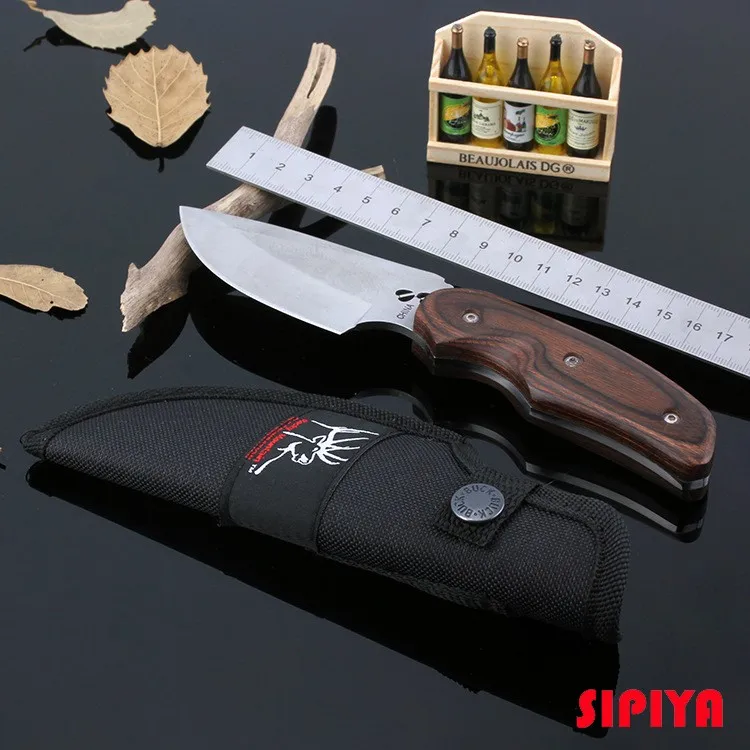 1940396311_1773764478