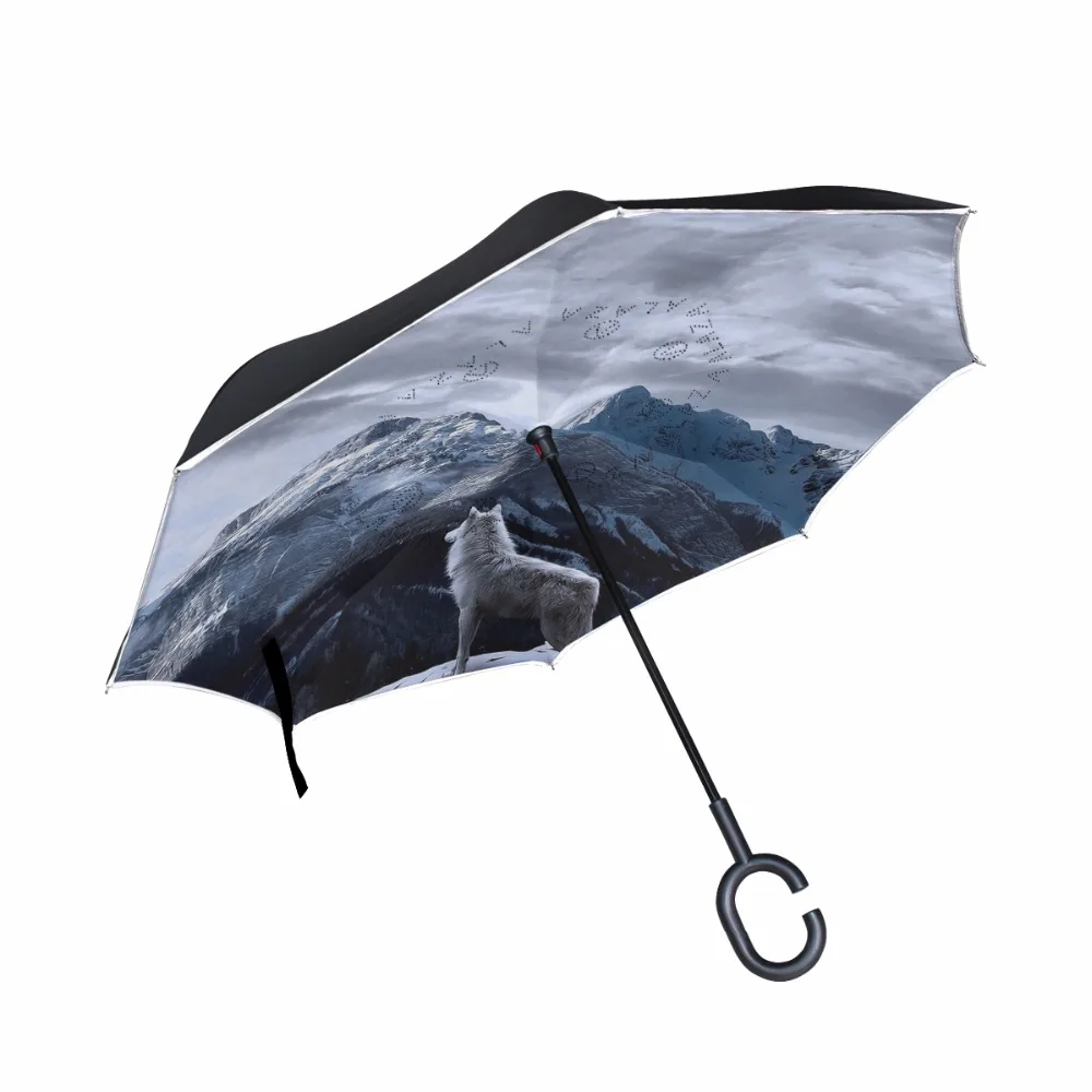 g1286781p183c217s313_0