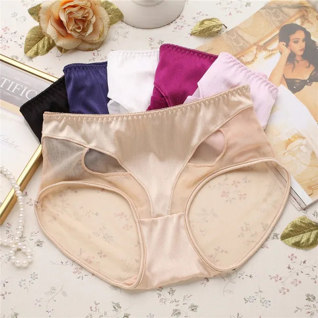 Awaytr Women's Polyester Underwear Panties Girls Sexy Mesh Briefs