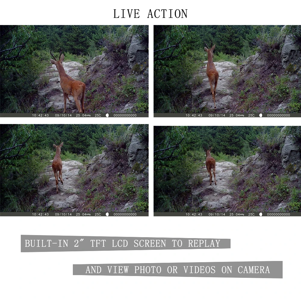 12MP hunting cameras