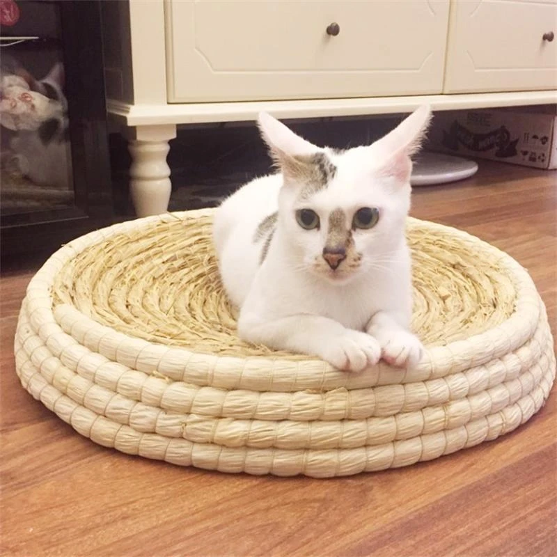 高品質クリエイティブ猫ベッド手作りわらペットベッド猫用品 Pet Cat Supplies Cat Bed Petsupplies Cats Aliexpress